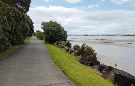 Kiwi Esplanade Walkway